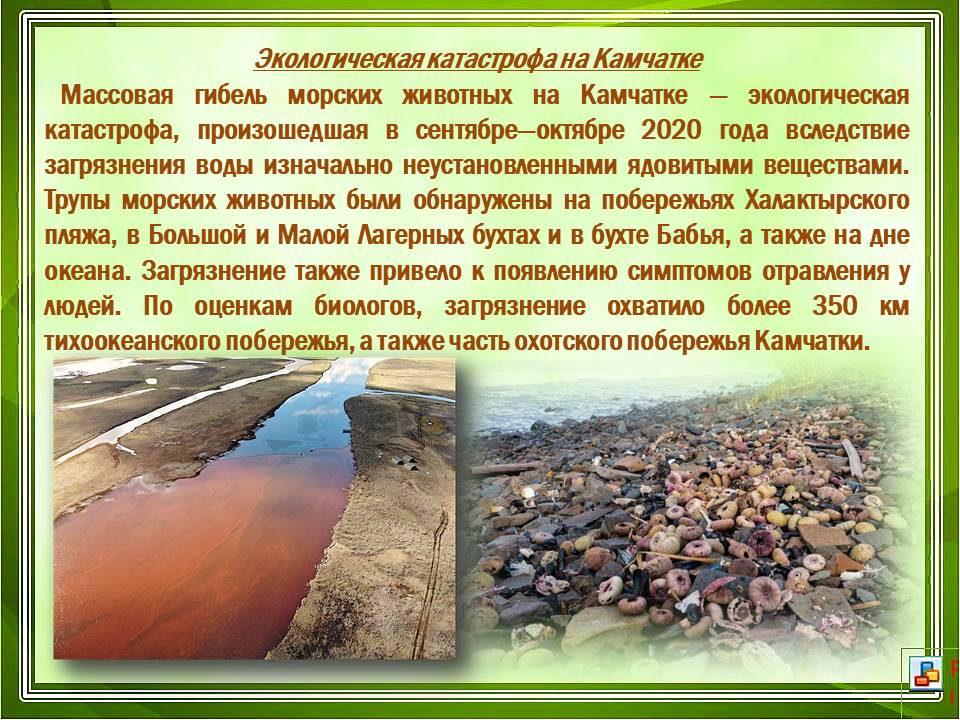 Экологические катастрофы в россии примеры